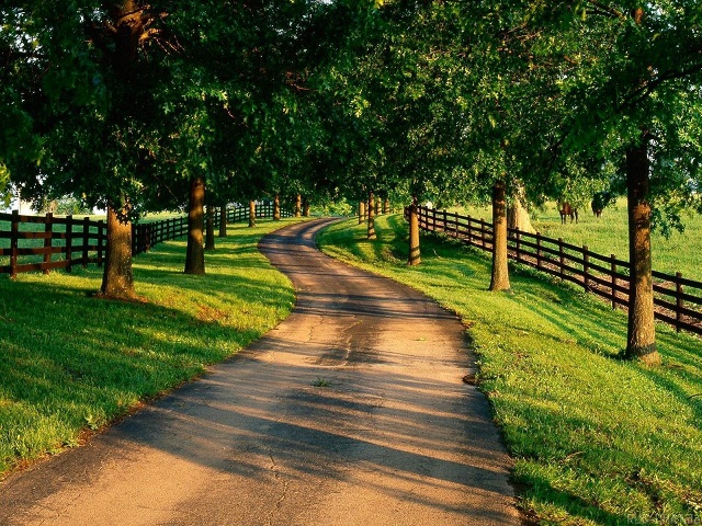 【测试版】最新的在线手机号轰炸机